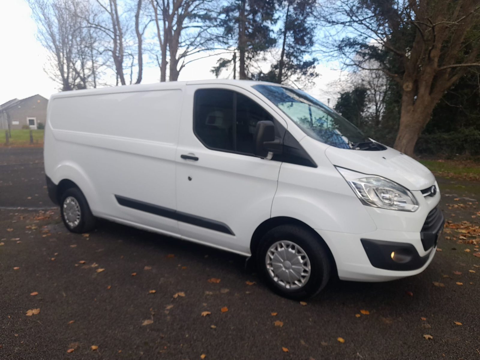 2014 Ford Transit Custom 4